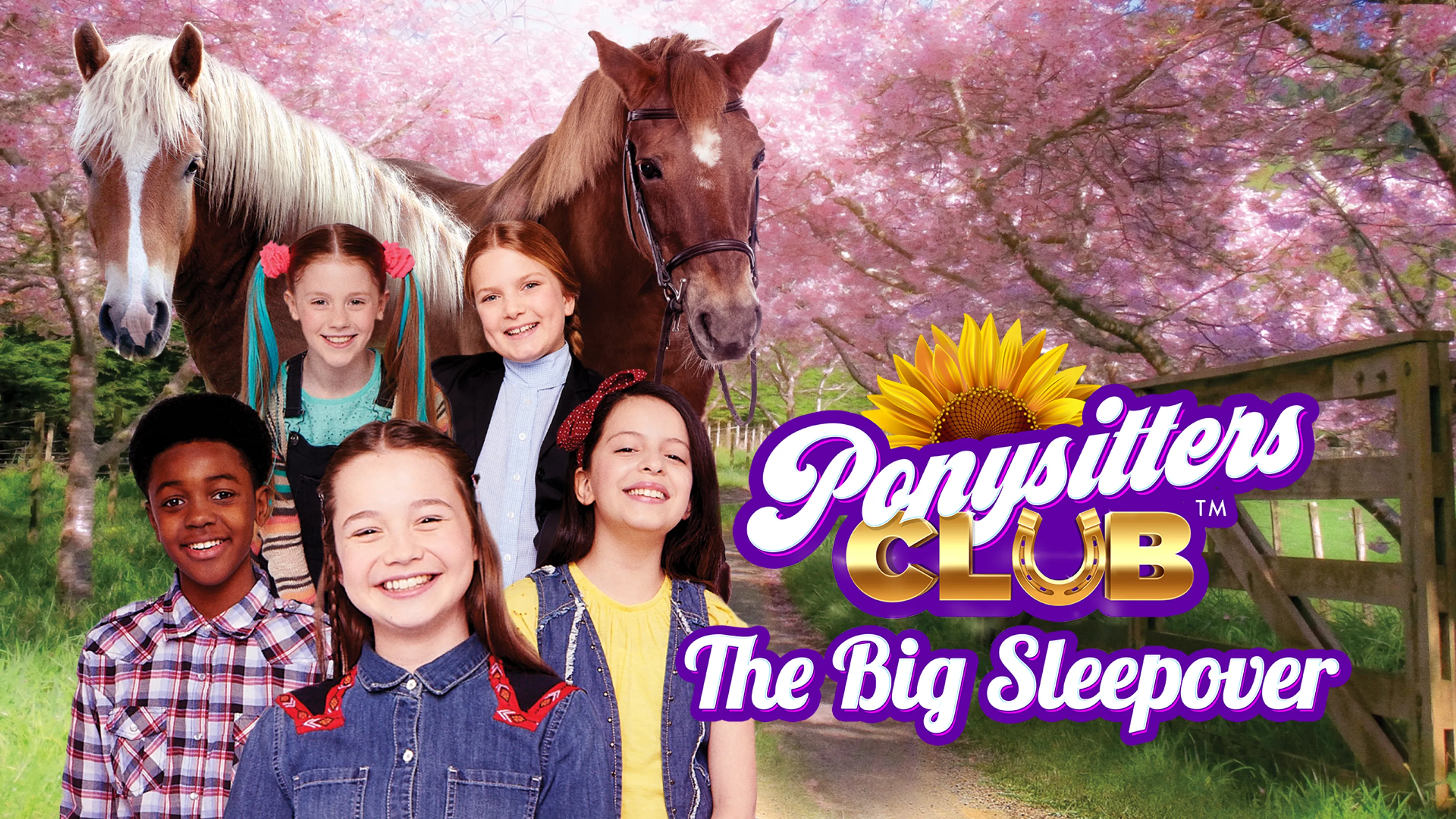 Ponysitters Club: The Big Sleepover poster